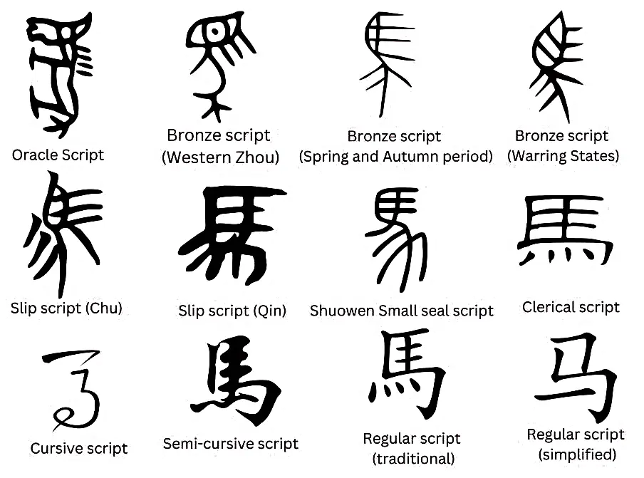 The character for horse across twelve scripts, from a pictographic oracle bone drawing through bronze, slip, seal, clerical, cursive and regular script, ending with the simplified 马.