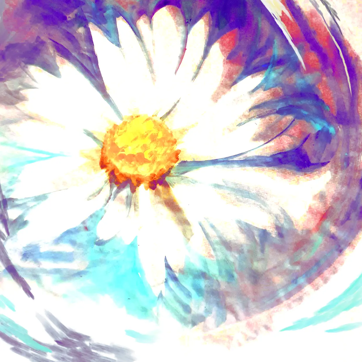 Recreational Noise — daisy.