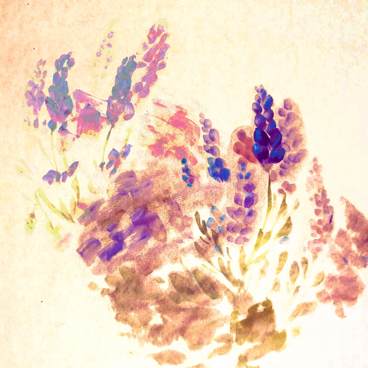 Second Wind — light.