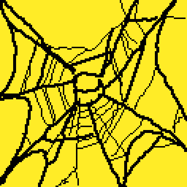Picture of the web
