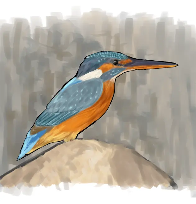 one of my earliest digital paintings in mypaint.